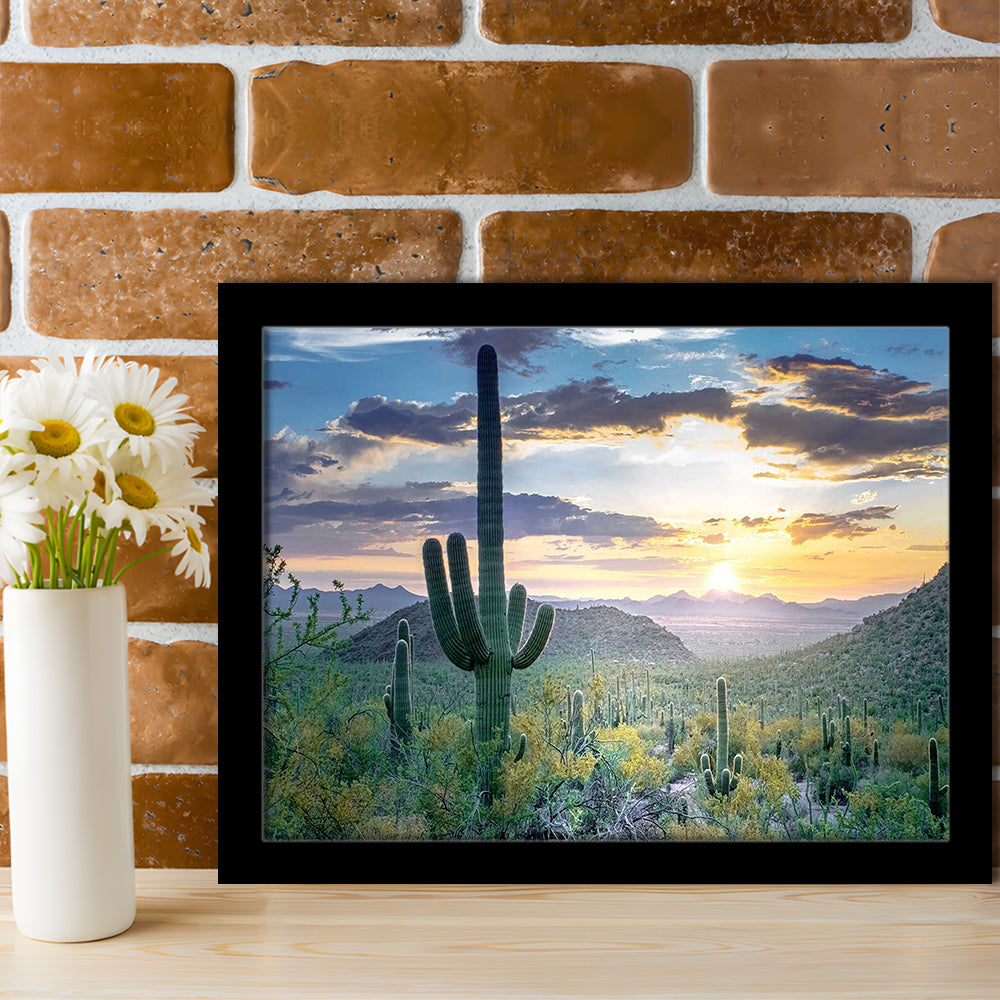 Saguaro National Park Wall Art,Majestic Arizona Art Prints Depicting The Beauty, Framed Art Print, Picture Framed