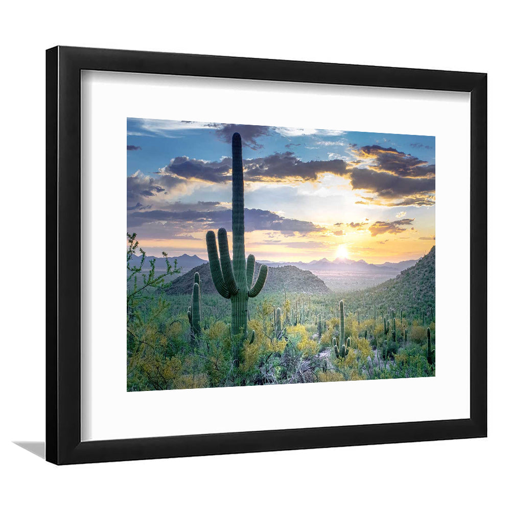 Saguaro National Park Wall Art,Majestic Arizona Art Print Depicting The Beauty, Framed Art Print White Border