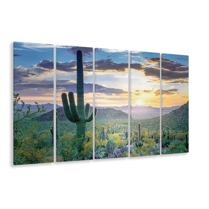 Saguaro National Park Wall Art,Majestic Arizona Canvas Print, 5 Piece B Extra Large Cavas Print Wall Art Decor