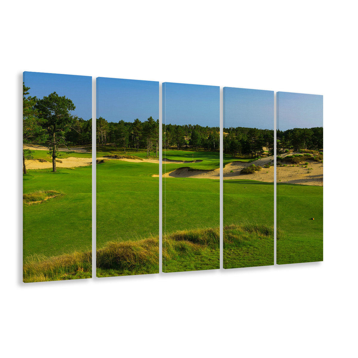Sand Valley Golf Resort, Mammoth Dunes Course Hole 16, Nekoosa, Wisconsin, Extra Large Canvas Print Wall Art