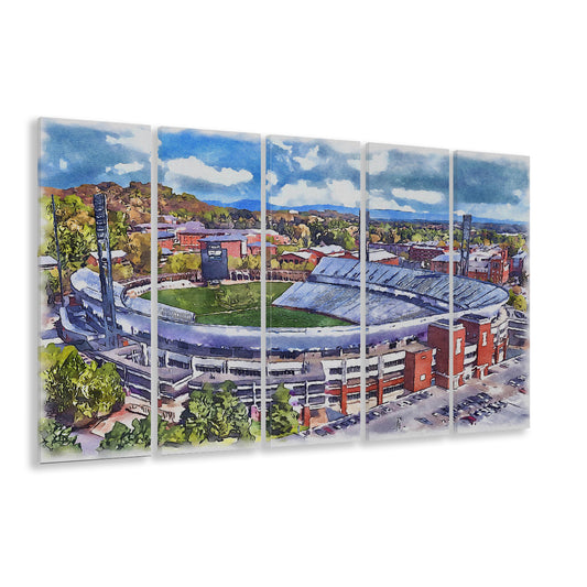 Scott Painting Stadium Watercolor, Albemarle County Virginia Watercolor, Sport Art, Extra Large Canvas Print
