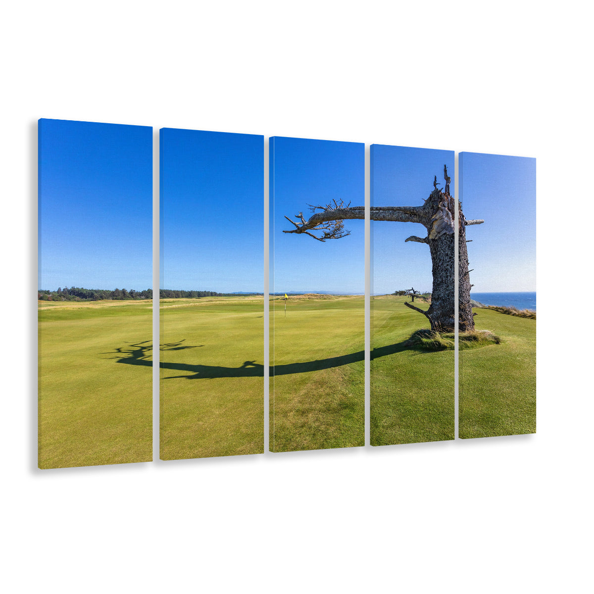 Sheep Ranch At Bandon Dunes Golf Resort, Hole 17 V3 Fine Art, Golf Art Print, Extra Large Canvas Print Wall Art