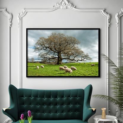 Sheep Grazing Under An Old English Oak Tree, Framed Art Print, Picture Framed