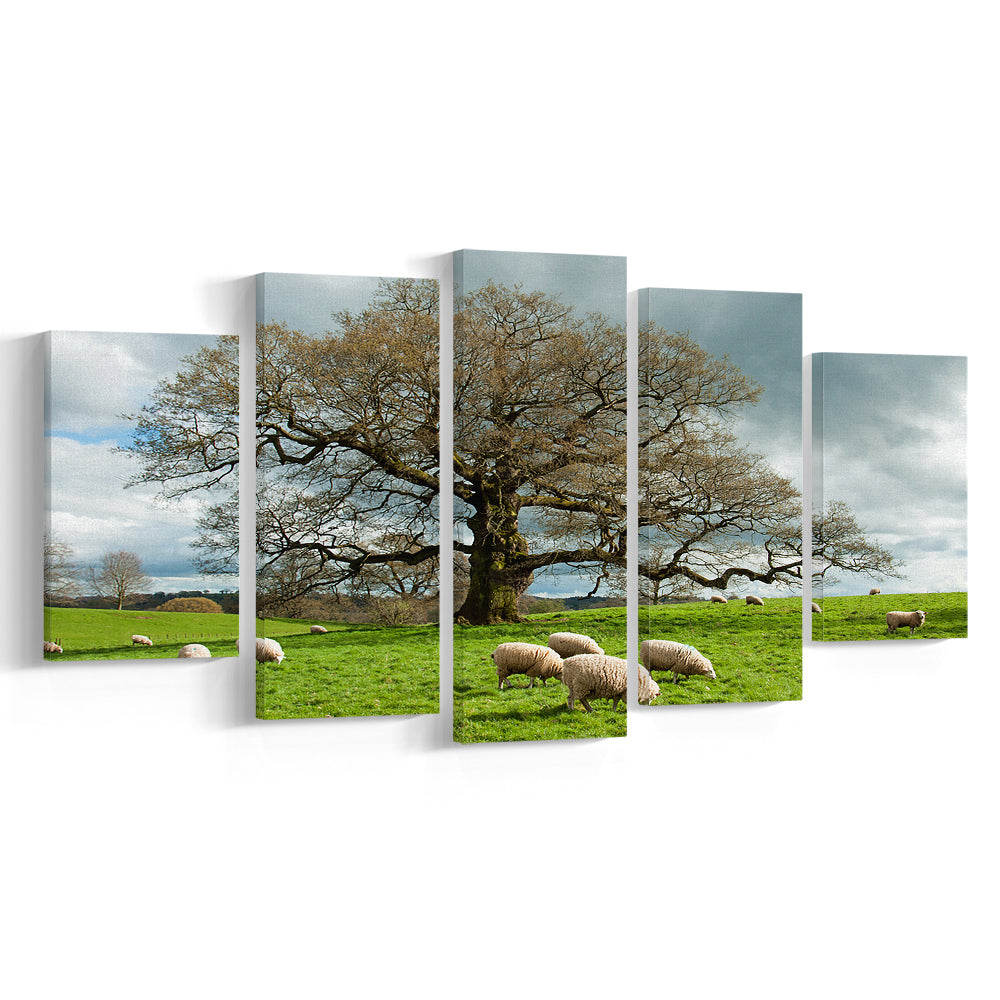 Sheep grazing under an old English oak tree, 5 Piece Large Cavas Print Wall Art