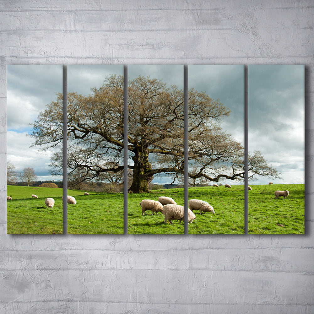 Sheep grazing under an old English oak tree, 5 Piece B Extra Large Cavas Print Wall Art Decor