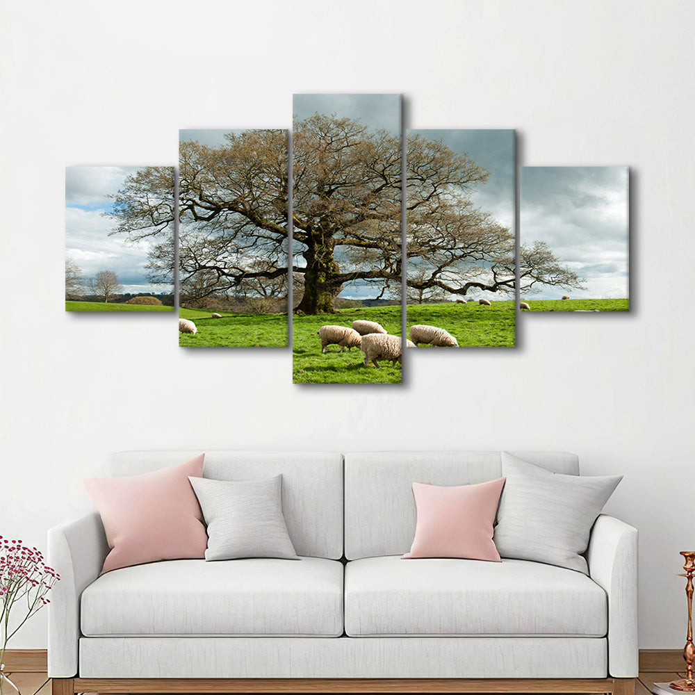 Sheep grazing under an old English oak tree, 5 Piece Large Cavas Print Wall Art