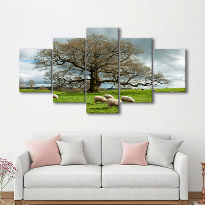 Sheep grazing under an old English oak tree, 5 Piece Large Cavas Print Wall Art