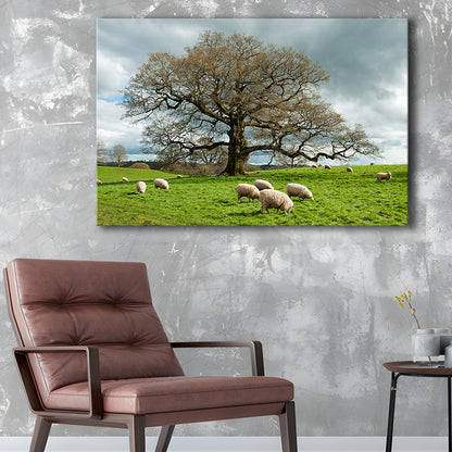 Sheep grazing under an old English oak tree, Cavas Print Wall Art Hom Decor