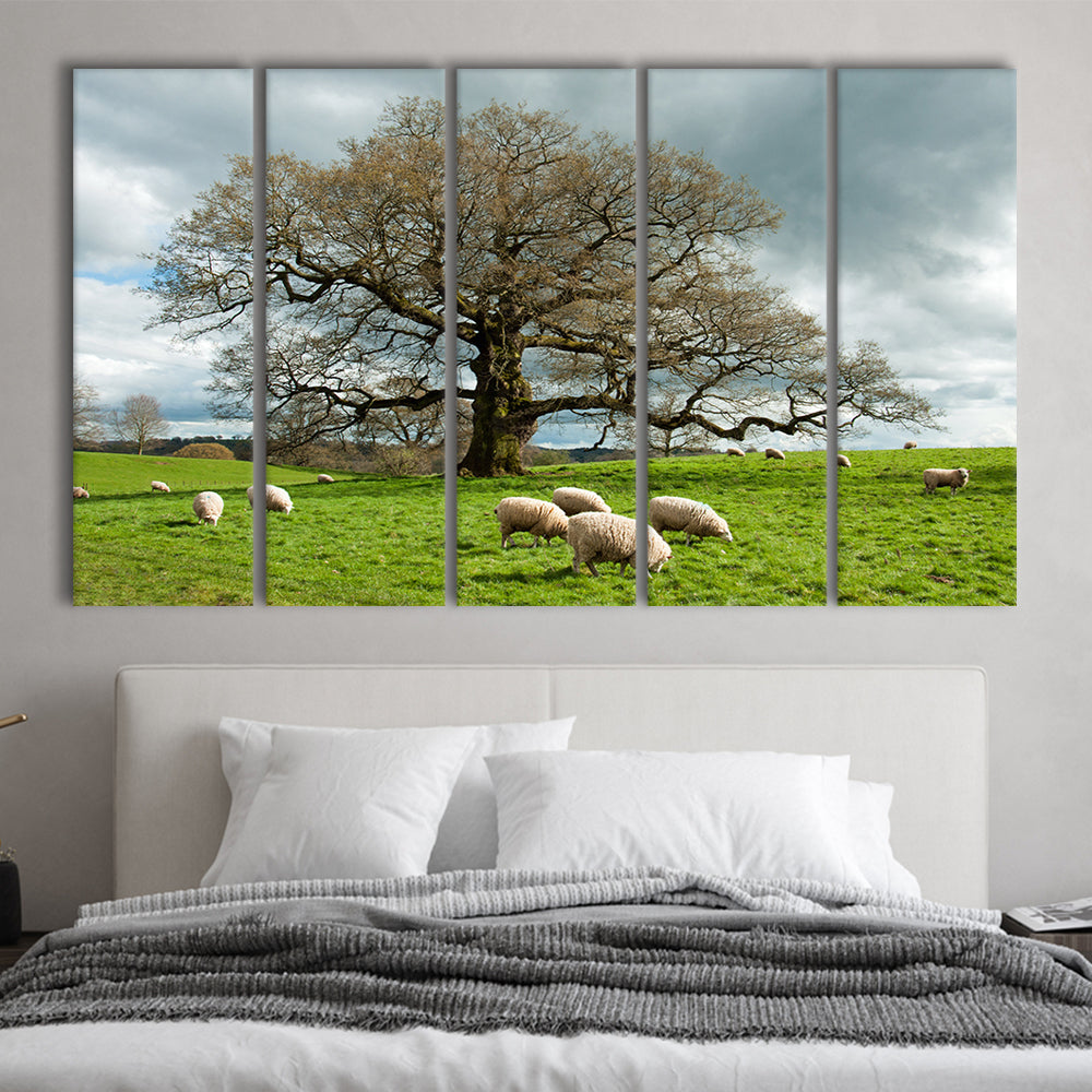 Sheep grazing under an old English oak tree, 5 Piece B Extra Large Cavas Print Wall Art Decor