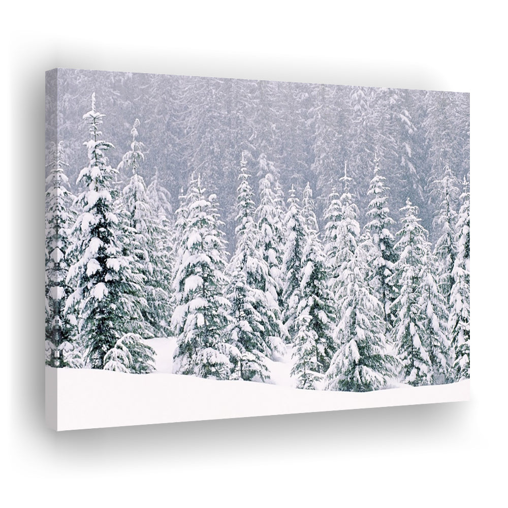 Snow covered pine trees Canvas Wall Art, Cavas Print Wall Art Hom Decor