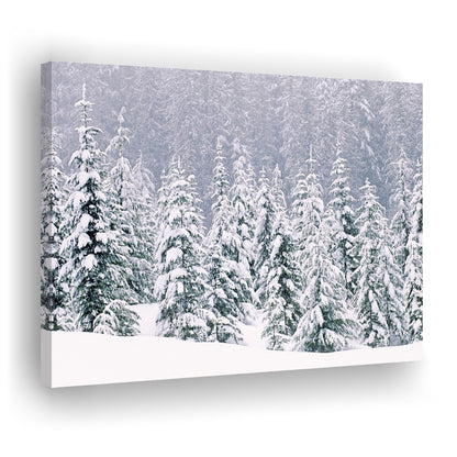 Snow covered pine trees Canvas Wall Art, Cavas Print Wall Art Hom Decor