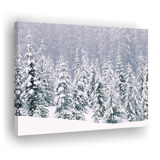 Snow covered pine trees Canvas Wall Art, Cavas Print Wall Art Hom Decor