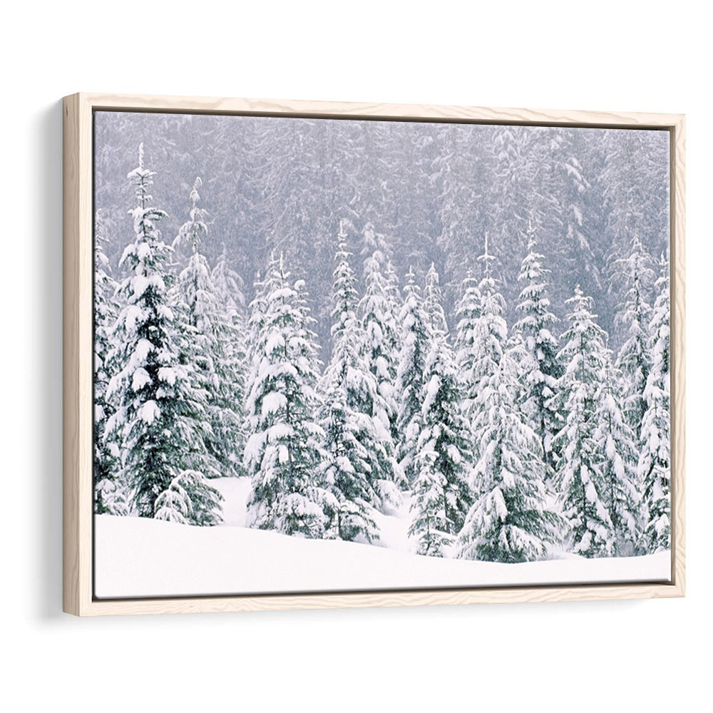Snow Covered Pine Trees Canvas Wall Art, Framed Cavas Print, Floating Frame