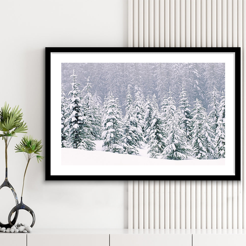 Snow Covered Pine Trees Wall Art, Framed Art Print White Border, Framed Picture