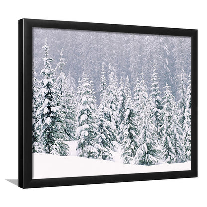 Snow Covered Pine Trees Art Wall Art, Framed Art Print, Picture Framed
