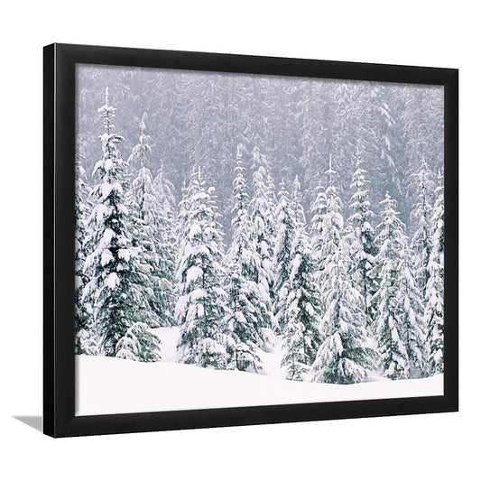 Snow Covered Pine Trees Art Wall Art, Framed Art Print, Picture Framed