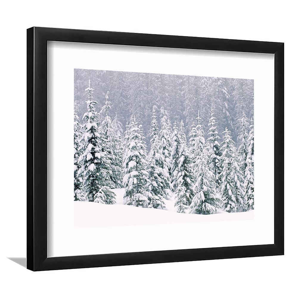 Snow Covered Pine Trees Wall Art, Framed Art Print White Border, Framed Picture