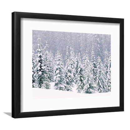 Snow Covered Pine Trees Wall Art, Framed Art Print White Border, Framed Picture