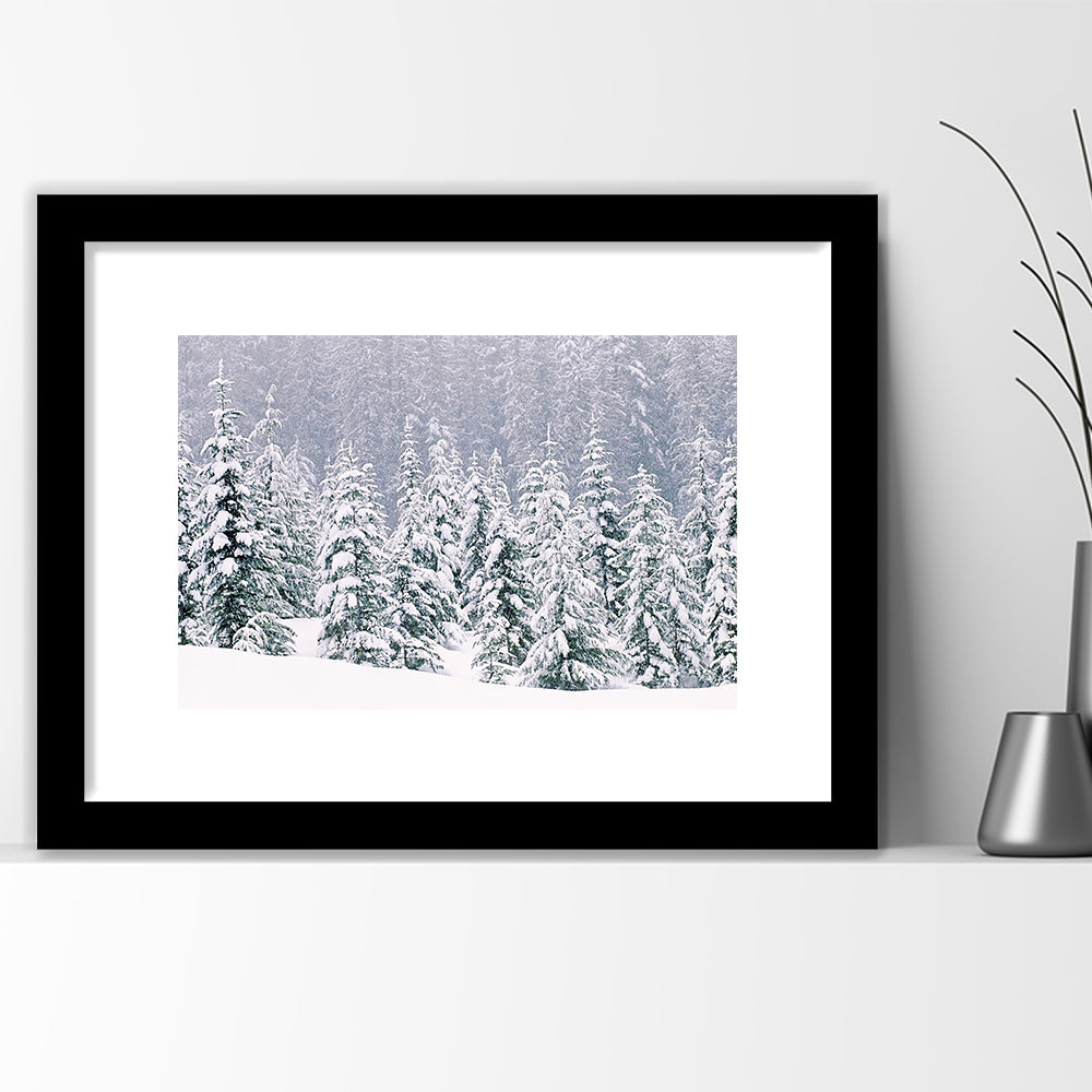 Snow Covered Pine Trees Wall Art, Framed Art Print White Border, Framed Picture