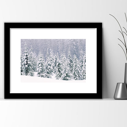 Snow Covered Pine Trees Wall Art, Framed Art Print White Border, Framed Picture