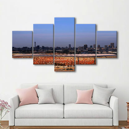 Soccer City South Africa, Stadium Canvas, Sport Art, Fan Gifts, 5 Panel, Large Canvas, Canvas Print Wall Art