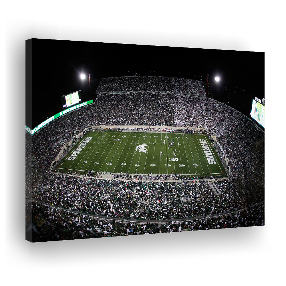 Spartan Stadium, Stadium Canvas, Sport Art, Gift for him, Man Cave Decor, Art Print, Canvas Print Wall Art