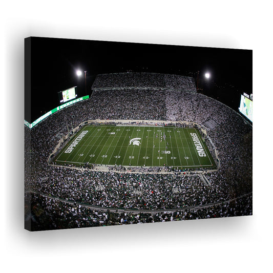 Spartan Stadium, Stadium Canvas, Sport Art, Gift for him, Man Cave Decor, Art Print, Canvas Print Wall Art