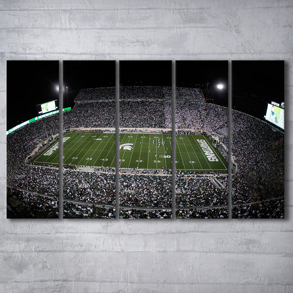 Spartan Stadium, Stadium Canvas, Sport Art, 5 Panel B, Extra Large Canvas, Canvas Print Wall Art