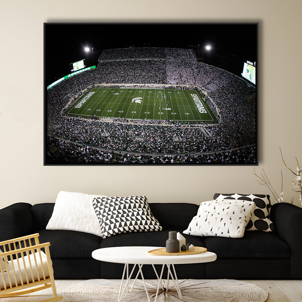 Spartan Stadium, Stadium Canvas, Sport Art, Framed Canvas Print Wall Art, Floating Frame