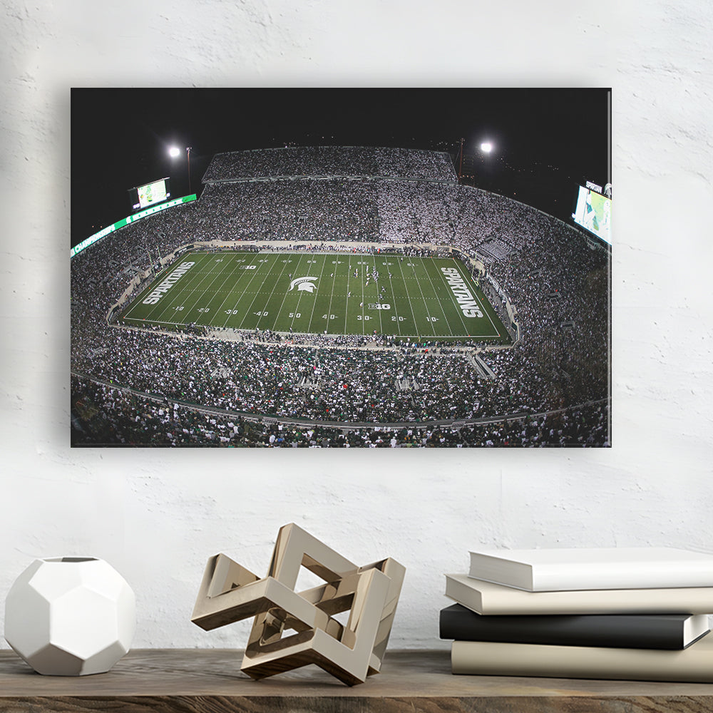 Spartan Stadium, Stadium Canvas, Sport Art, Gift for him, Man Cave Decor, Art Print, Canvas Print Wall Art