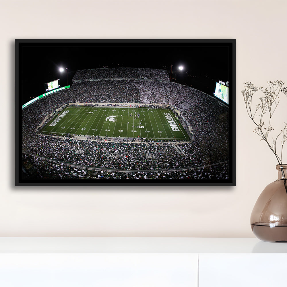 Spartan Stadium, Stadium Canvas, Sport Art, Framed Canvas Print Wall Art, Floating Frame