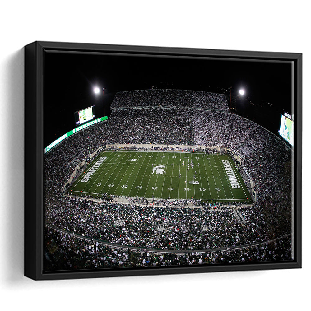 Spartan Stadium, Stadium Canvas, Sport Art, Framed Canvas Print Wall Art, Floating Frame