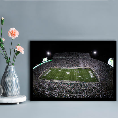 Spartan Stadium, Stadium Canvas, Sport Art, Gift for him, Framed Art Print Wall Decor, Picture Framed
