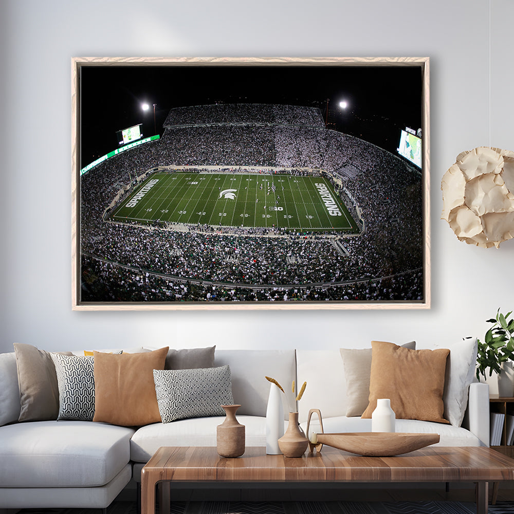 Spartan Stadium, Stadium Canvas, Sport Art, Framed Canvas Print Wall Art, Floating Frame