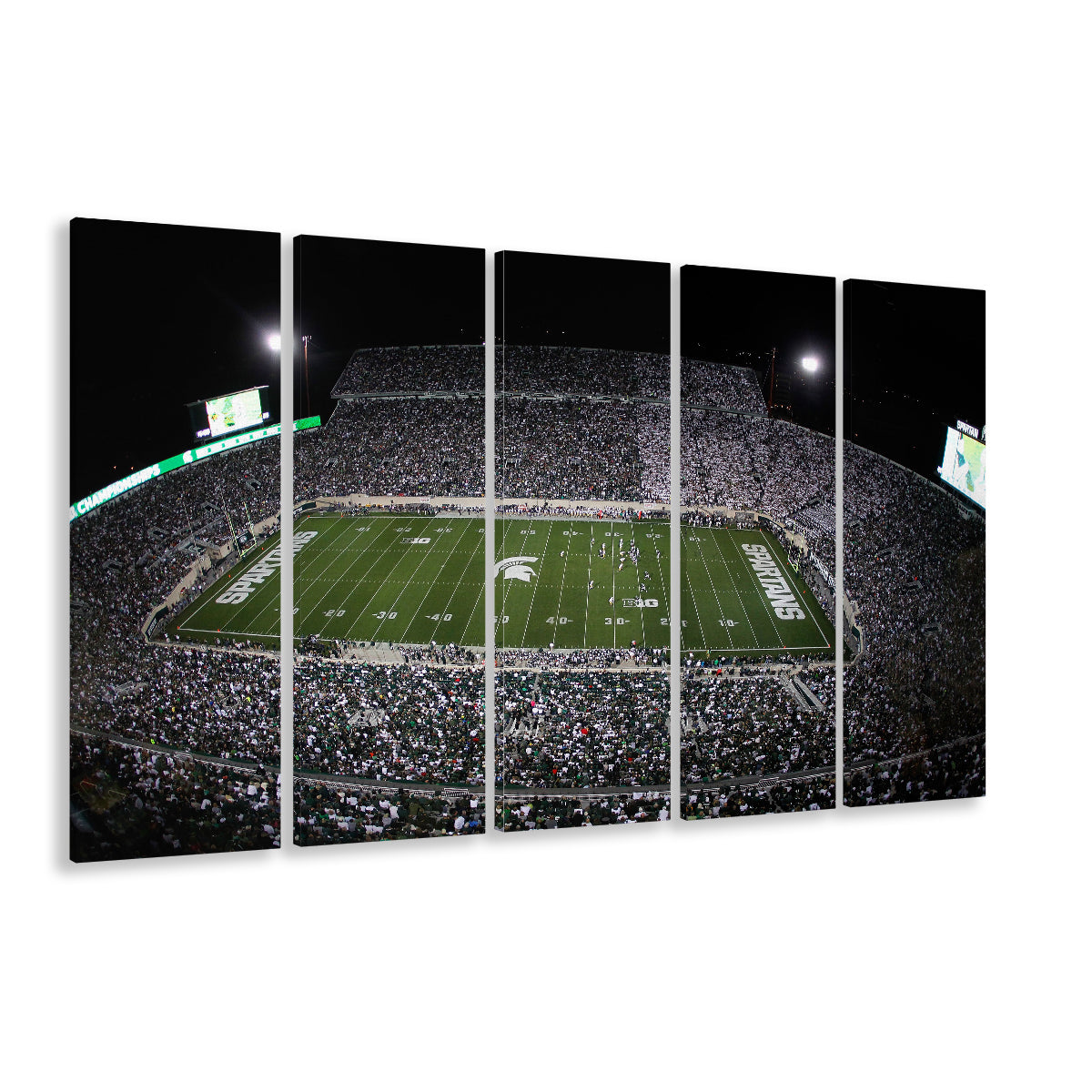 Spartan Stadium, Stadium Canvas, Sport Art, 5 Panel B, Extra Large Canvas, Canvas Print Wall Art