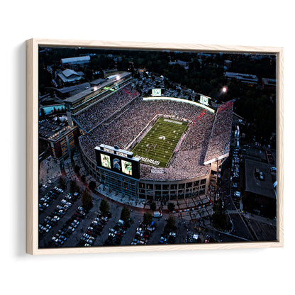 Spartan Stadium in Michigan, Stadium Canvas, Sport Art, Framed Canvas Print Wall Art, Floating Frame