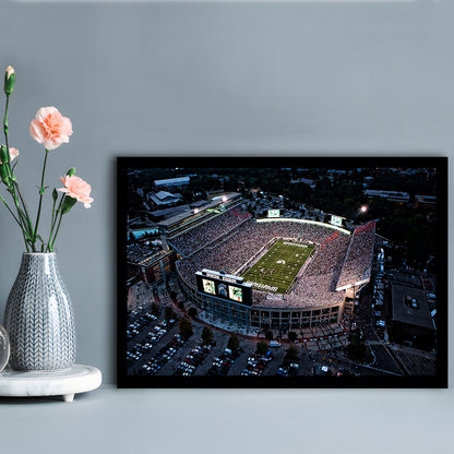 Spartan Stadium in Michigan, Stadium Canvas, Sport Art, Gift for him, Framed Art Print Wall Decor, Picture Framed