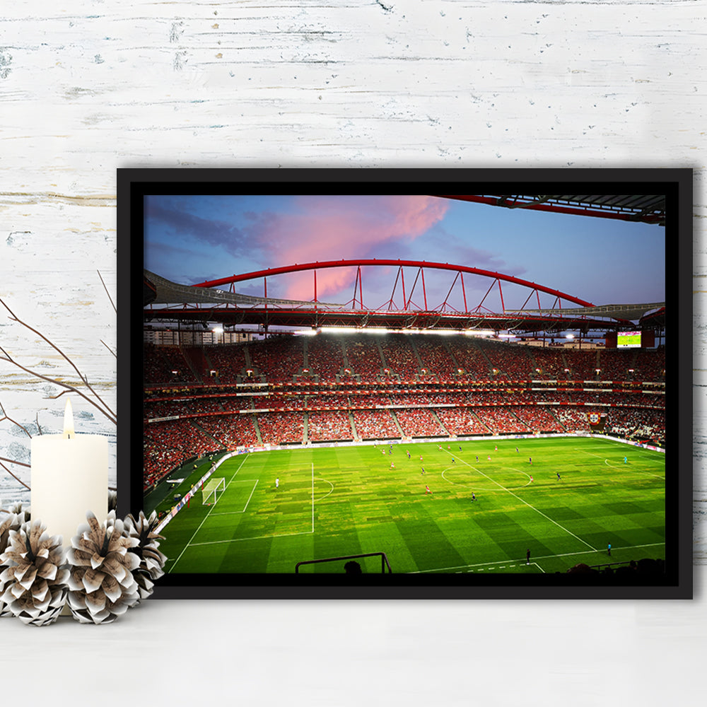 Sport Lisboa e Benfica, Stadium Canvas, Sport Art, Framed Canvas Print Wall Art, Floating Frame
