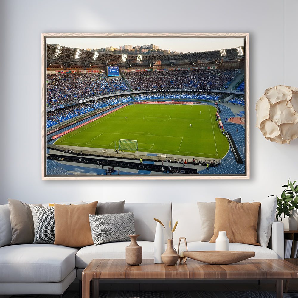 Stadio Olimpico, Stadium Canvas, Sport Art, Fan Gifts, Framed Canvas Print Wall Art, Floating Frame