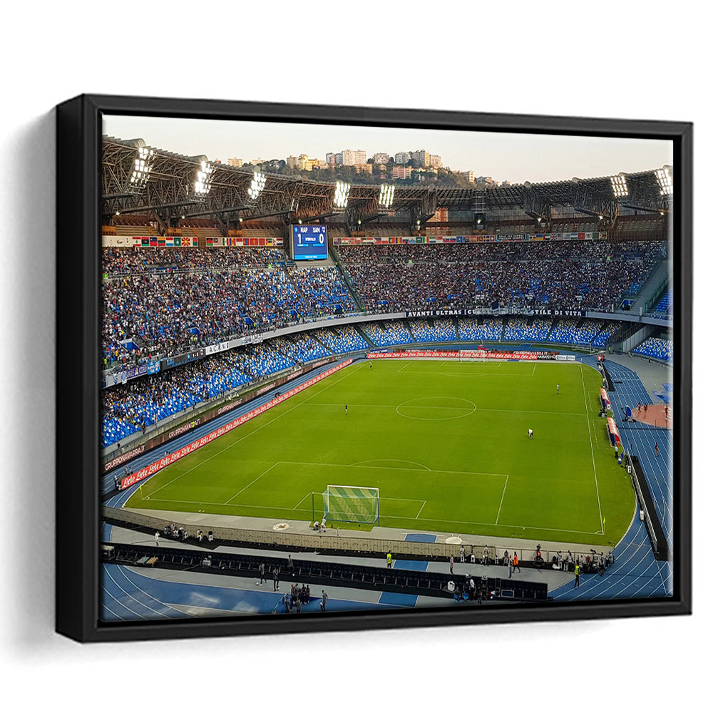 Stadio Olimpico, Stadium Canvas, Sport Art, Fan Gifts, Framed Canvas Print Wall Art, Floating Frame