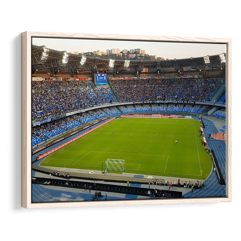 Stadio Olimpico, Stadium Canvas, Sport Art, Fan Gifts, Framed Canvas Print Wall Art, Floating Frame