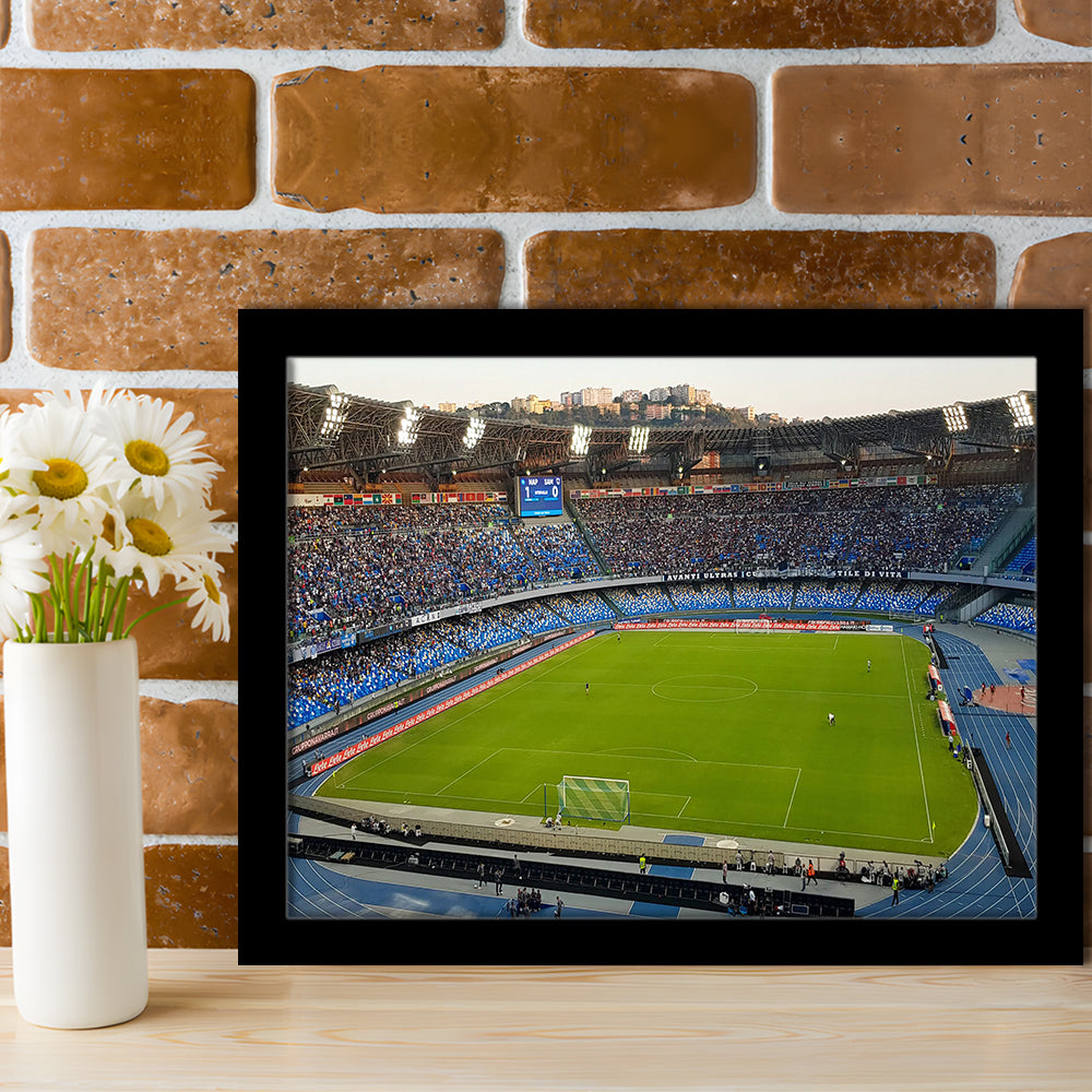 Stadio Olimpico, Stadium Canvas, Sport Art, Fan Gifts, Framed Art Print Wall Decor, Picture Framed