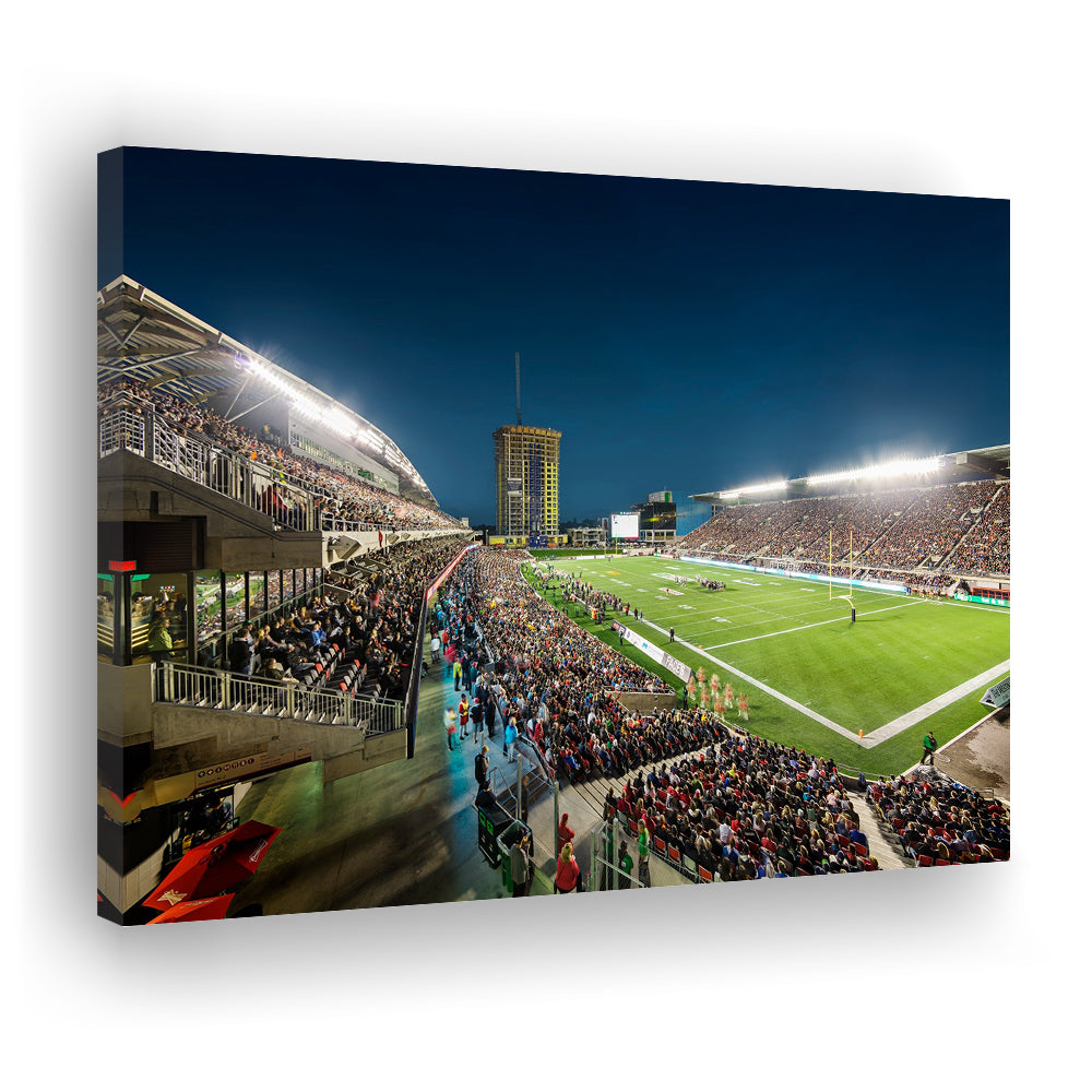 Stadium Td, Stadium Canvas, Sport Art, Gift for him, Man Cave Decor, Art Print, Canvas Print Wall Art