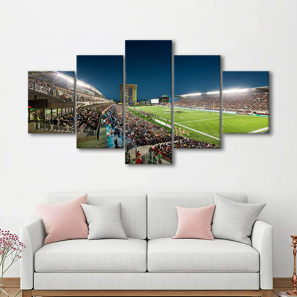 Stadium Td, Stadium Canvas, Sport Art, Gift for him, 5 Panel, Large Canvas, Canvas Print Wall Art
