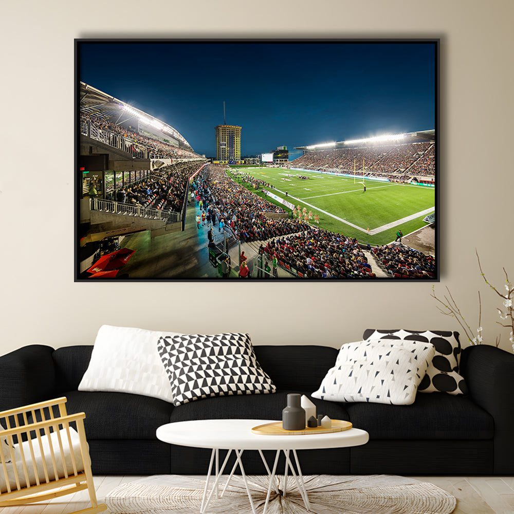Stadium Td, Stadium Canvas, Sport Art, Framed Canvas Print Wall Art, Floating Frame