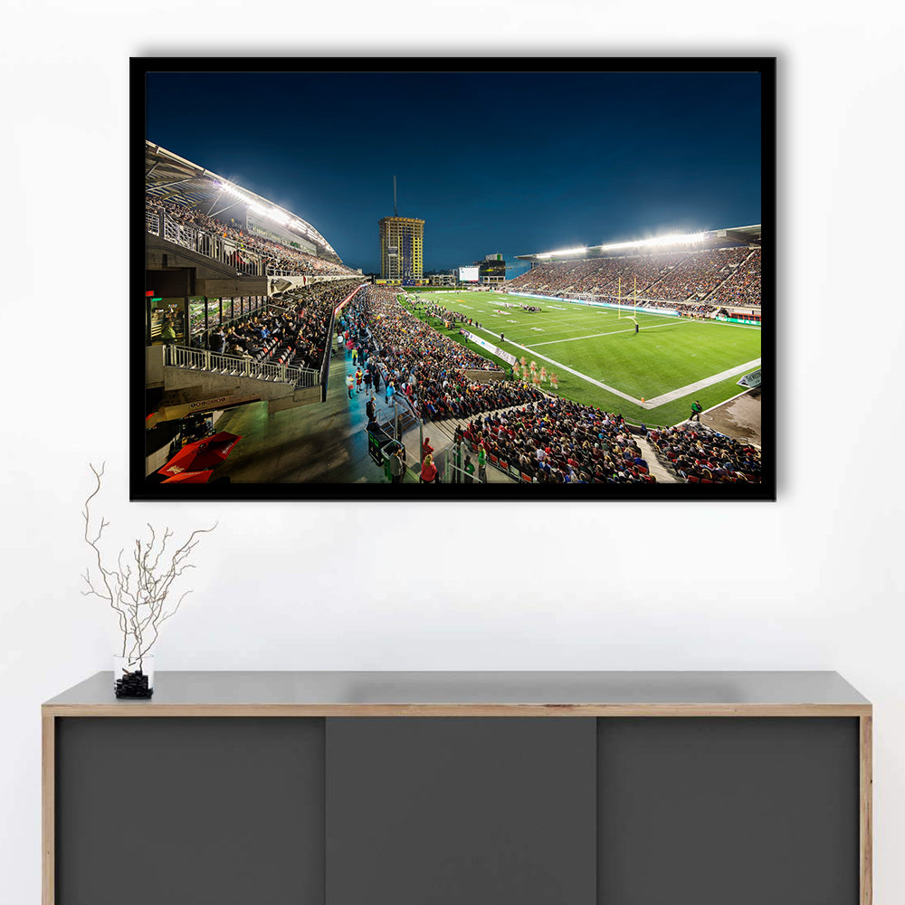 Stadium Td, Stadium Canvas, Sport Art, Gift for him, Framed Art Print Wall Decor, Picture Framed