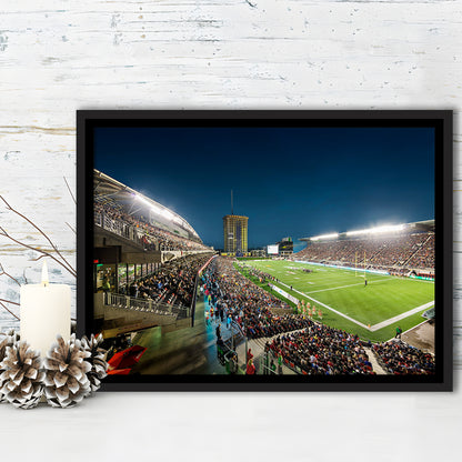 Stadium Td, Stadium Canvas, Sport Art, Framed Canvas Print Wall Art, Floating Frame