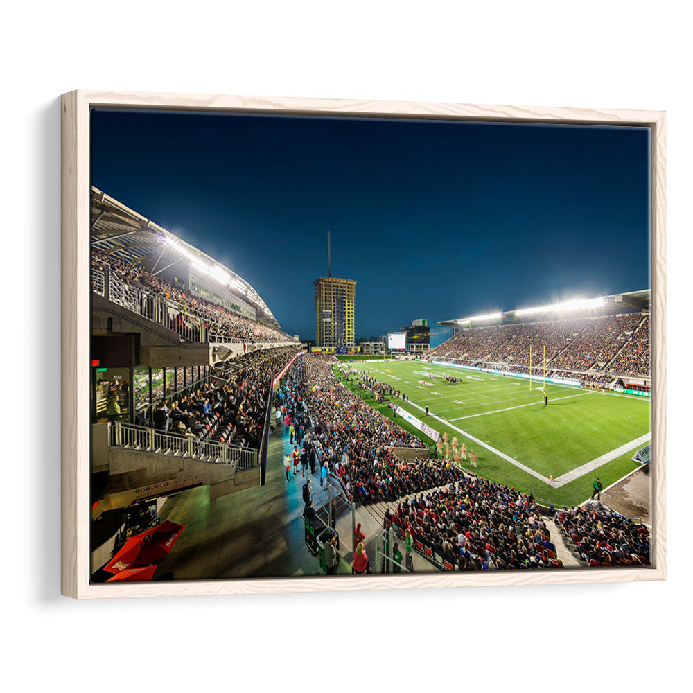 Stadium Td, Stadium Canvas, Sport Art, Framed Canvas Print Wall Art, Floating Frame