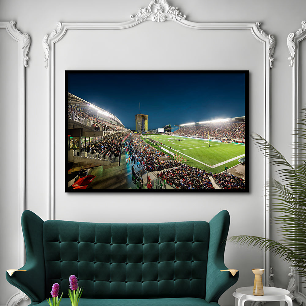 Stadium Td, Stadium Canvas, Sport Art, Gift for him, Framed Art Print Wall Decor, Picture Framed