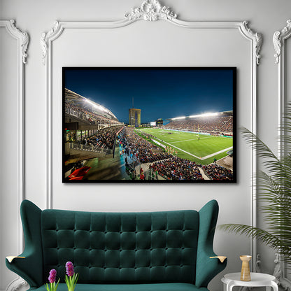 Stadium Td, Stadium Canvas, Sport Art, Gift for him, Framed Art Print Wall Decor, Picture Framed